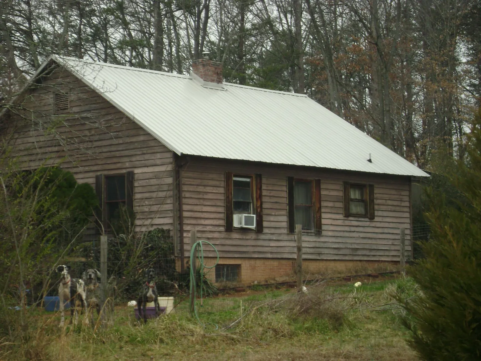 White metal roof on an old wood sided farmhouse, from a Metal Roof Installation job in Livermore Falls